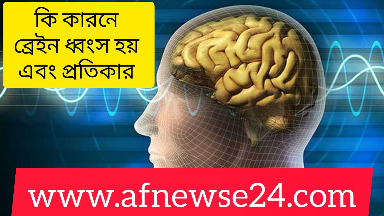 ব্রেইন ধ্বংসের কারণ এবং প্রতিকার
